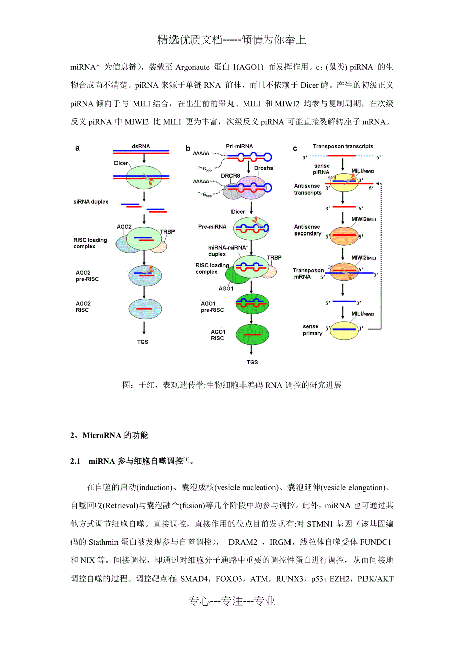 非编码RNA的分类及其功能总结_第3页