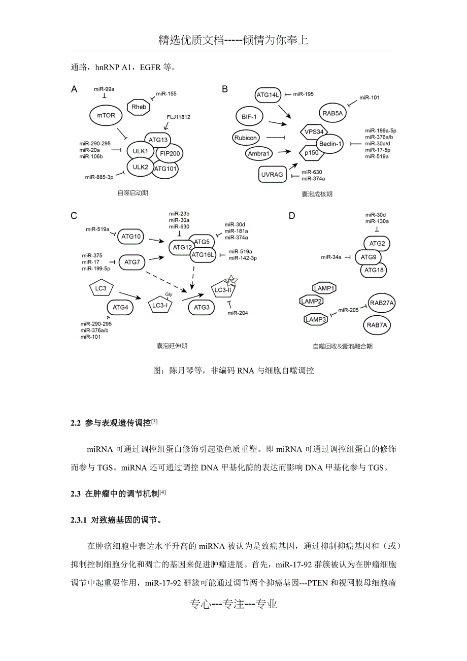 非编码RNA的分类及其功能总结_第4页