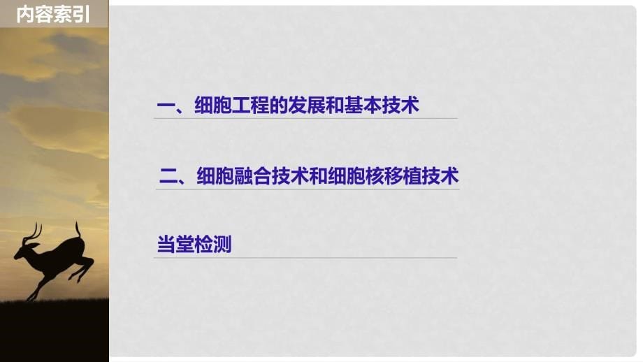 高中生物 第二章 细胞工程 2.1 细胞工程概述课件 苏教版选修3_第5页