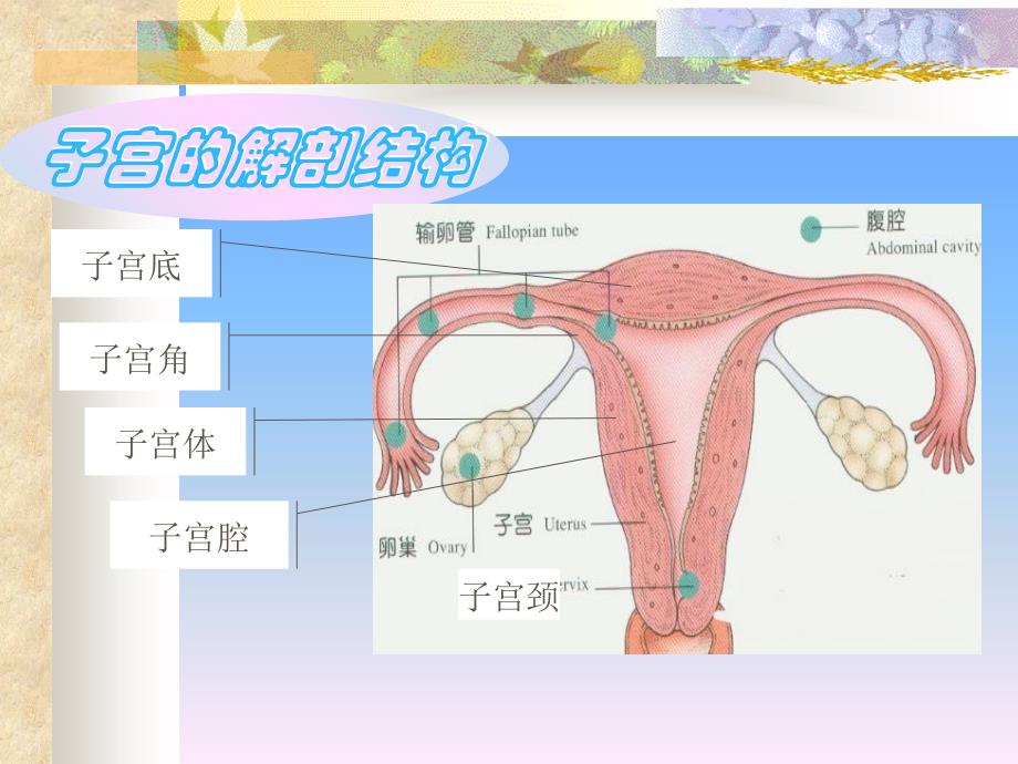 子宫手术的护理配合精选文档_第2页