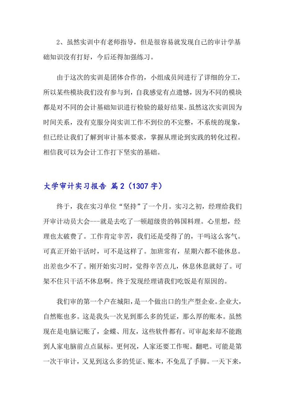 关于大学审计实习报告3篇_第5页