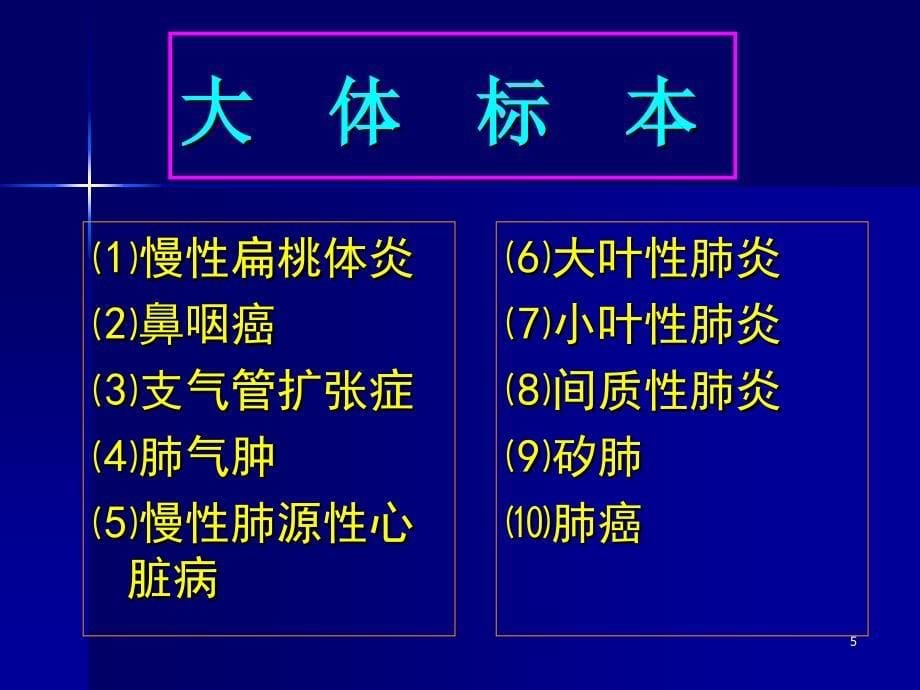 呼吸系统疾病实验ppt课件_第5页