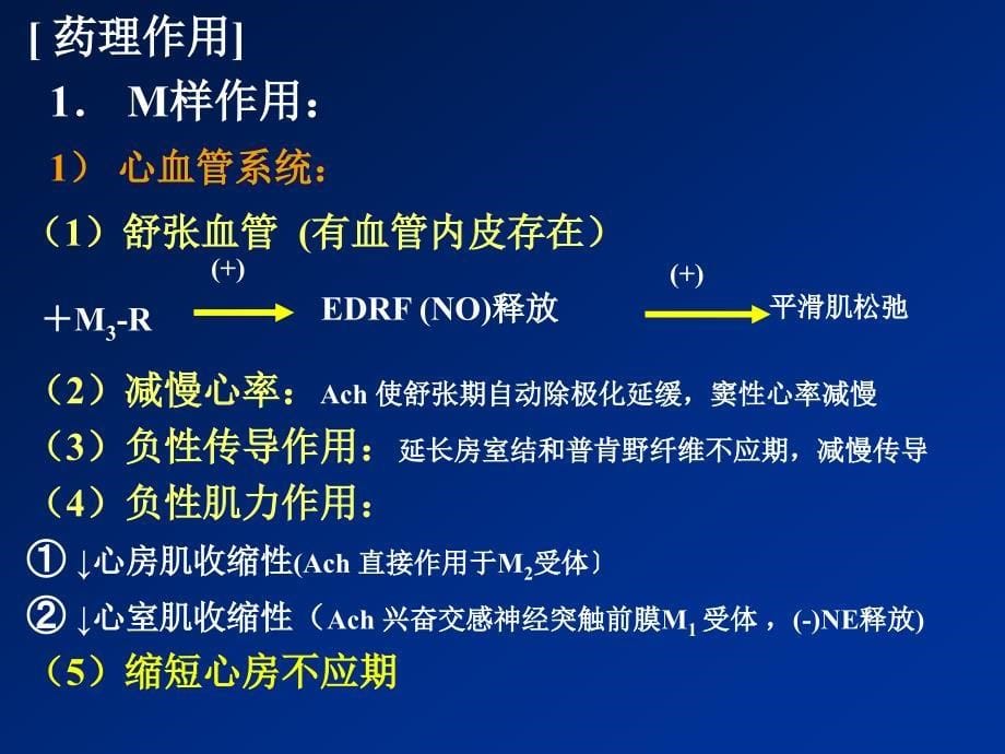 药理学课件：第六章 胆碱受体激动药和胆碱受体阻断药_第5页