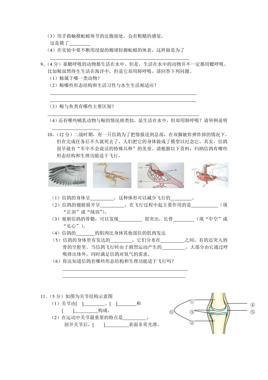 八年级生物第一次月考试卷_第2页