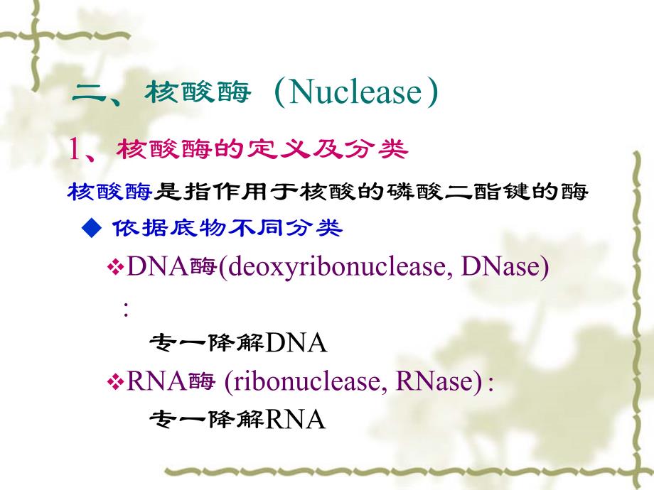 生物化学核酸的降解与核苷酸代谢_第3页