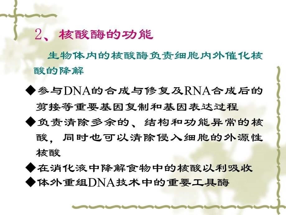 生物化学核酸的降解与核苷酸代谢_第5页