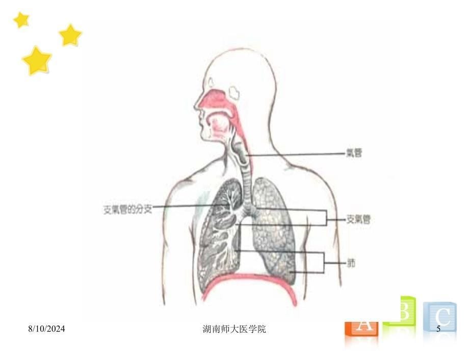 生理健康知识常见内科疾病防治_第5页