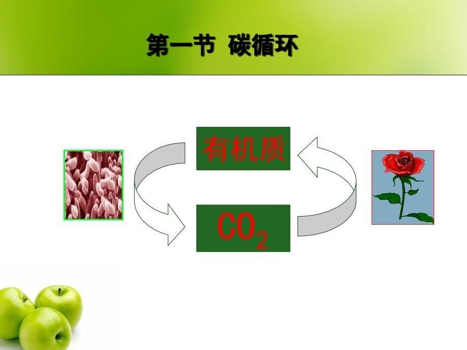 微生物在环境循环中的作用课件_第5页