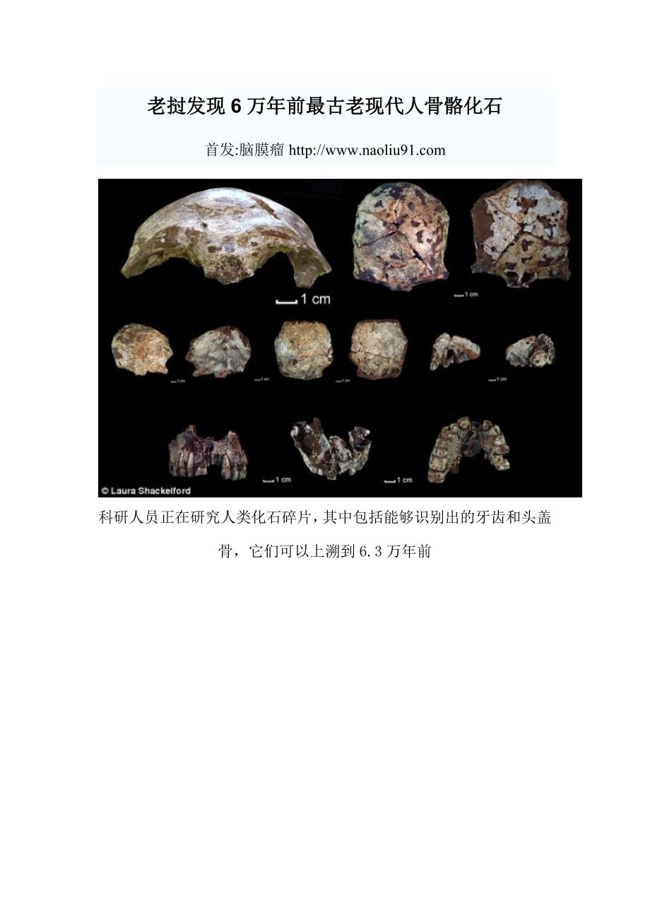 老挝发现6万年前最古老现代人骨骼化石.doc_第1页