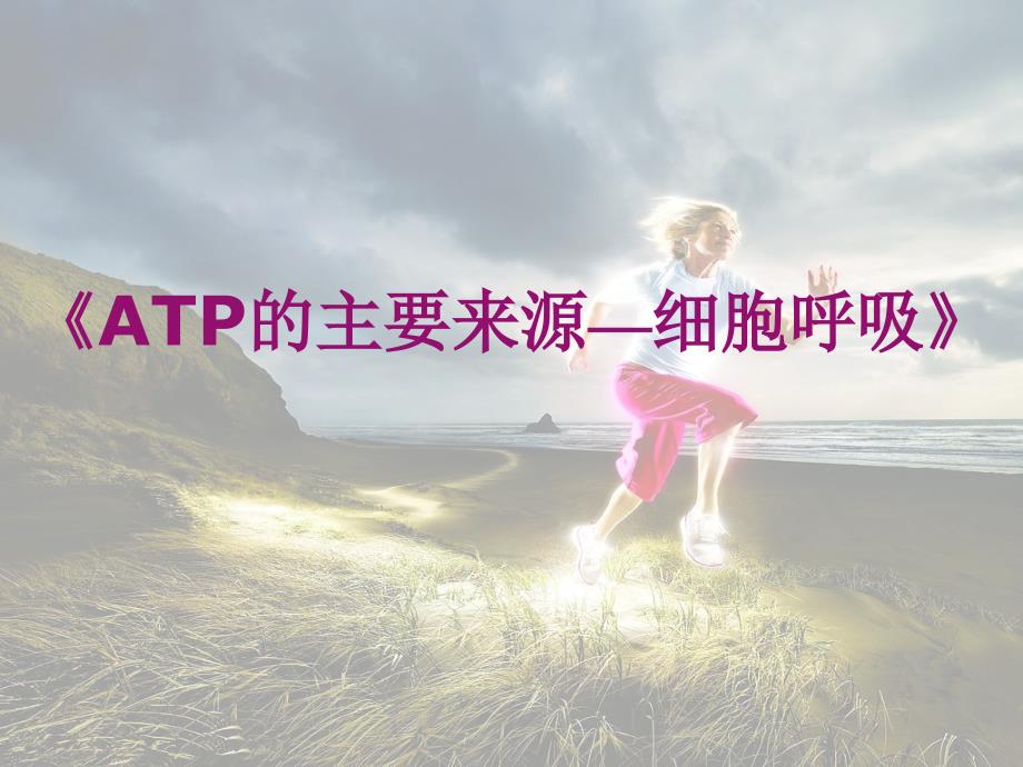 ATP的主要来源细胞呼吸说课稿详解_第1页