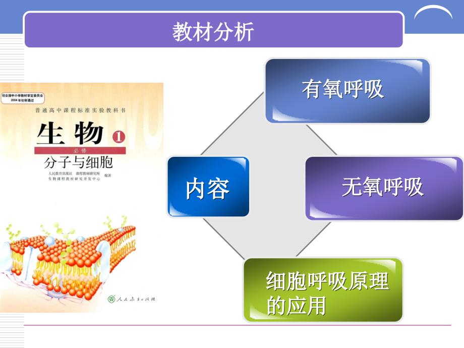 ATP的主要来源细胞呼吸说课稿详解_第3页