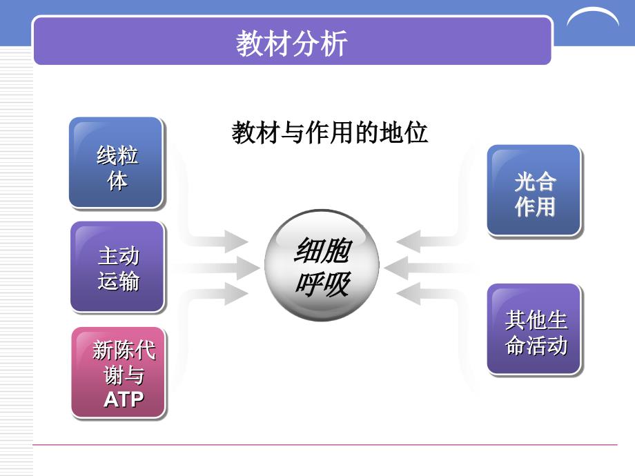 ATP的主要来源细胞呼吸说课稿详解_第4页