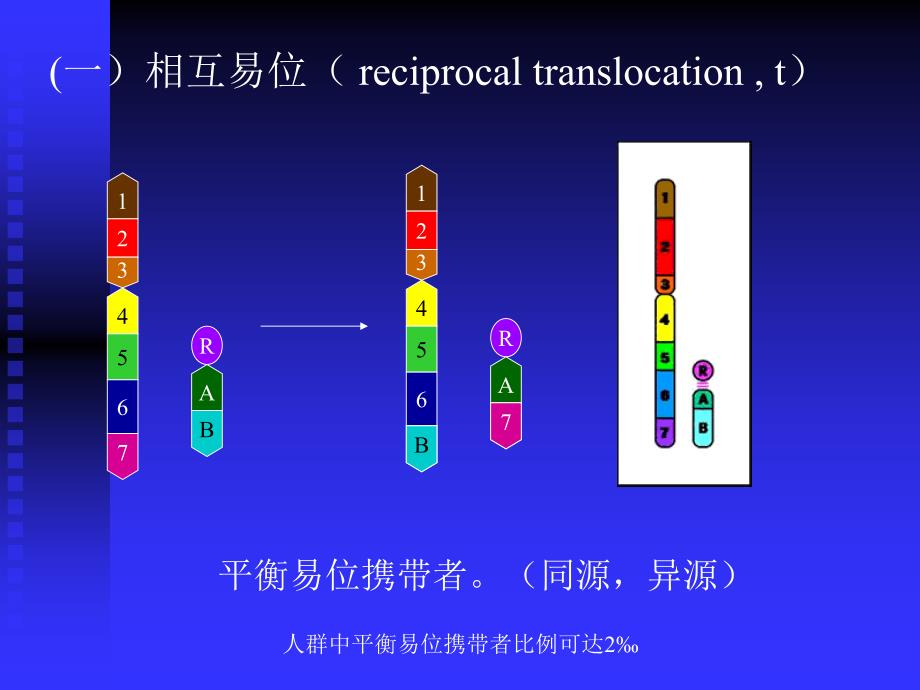 携带者的遗传效应和遗传咨询建议_第3页