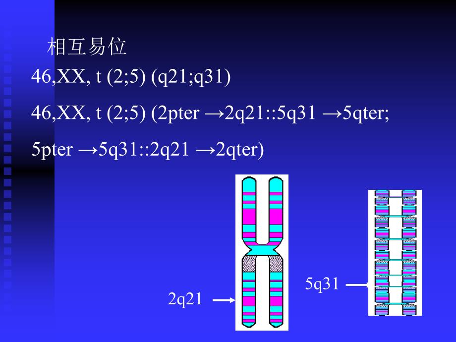 携带者的遗传效应和遗传咨询建议_第4页