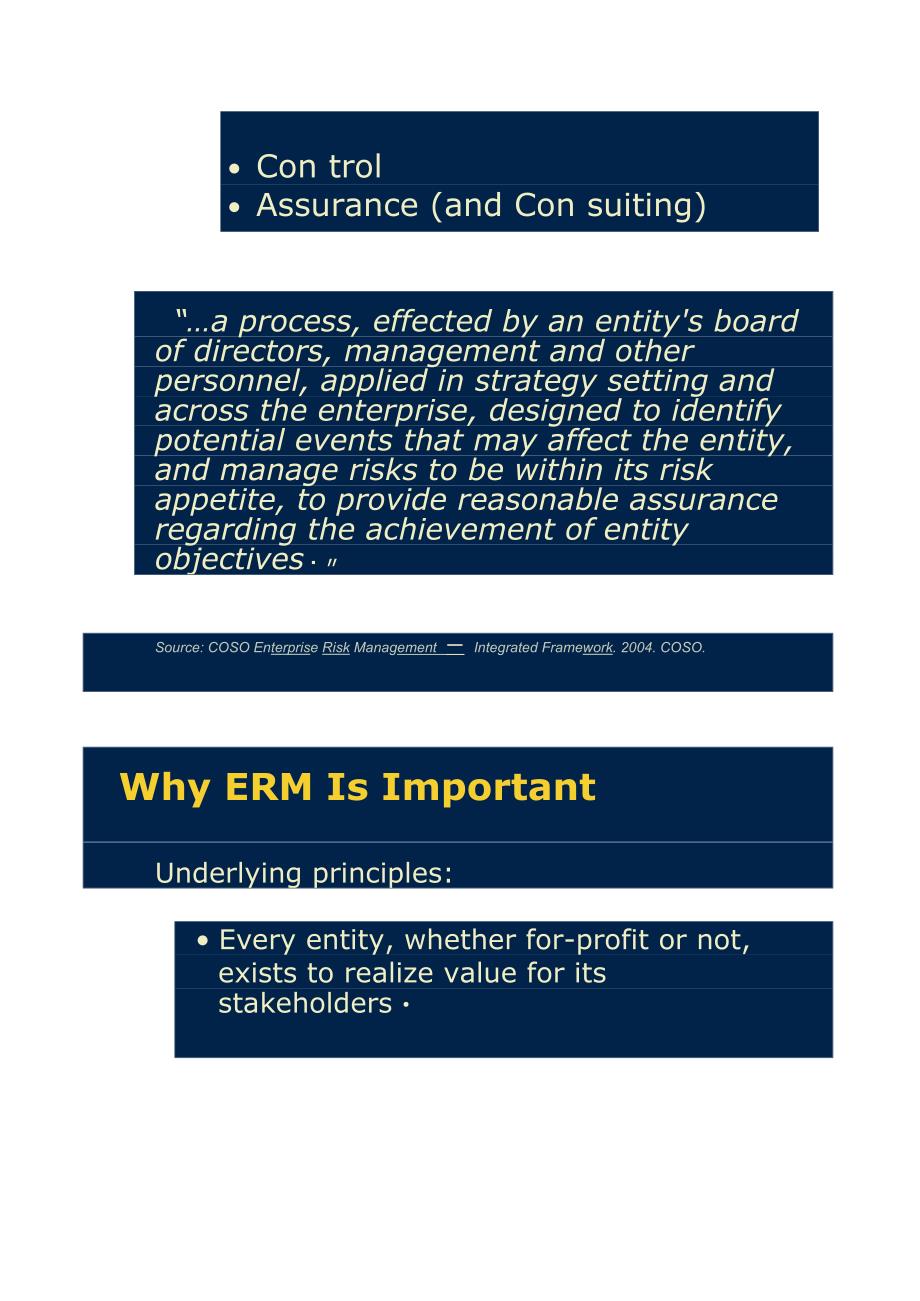 企业风险管理框架_第2页