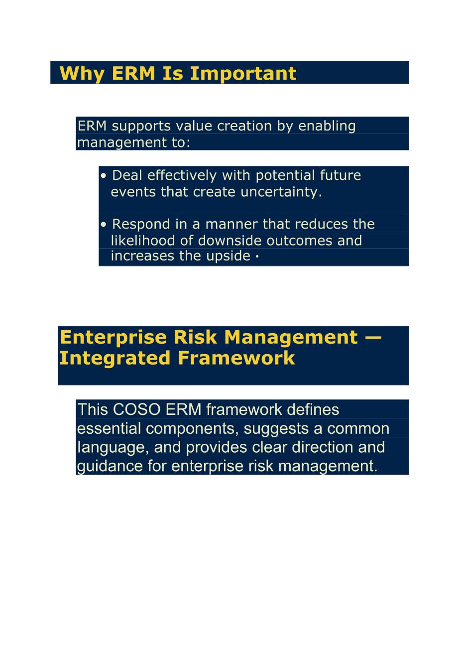 企业风险管理框架_第4页