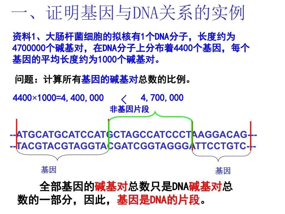 34基因是有遗传效应的DNA片段讲课用_第5页