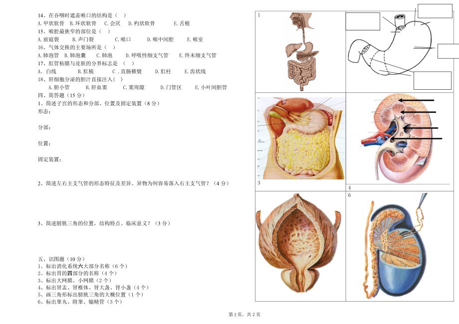 2014高一年级解剖学第二次月考试题_第2页