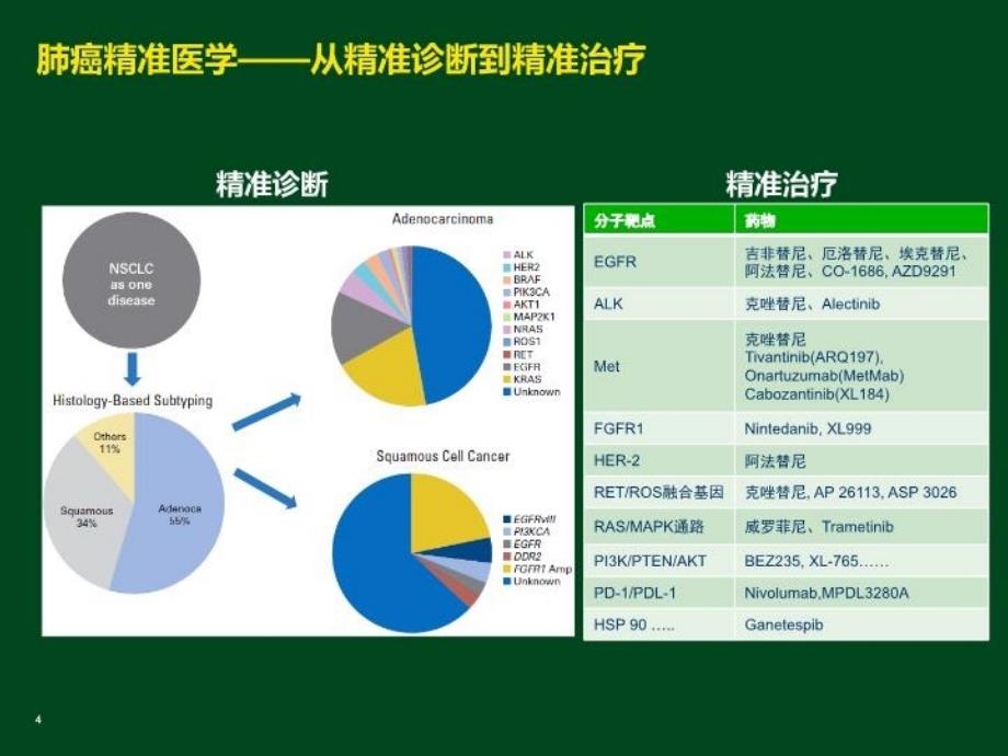 egfr基因突变阳性患者的全程复习进程_第4页