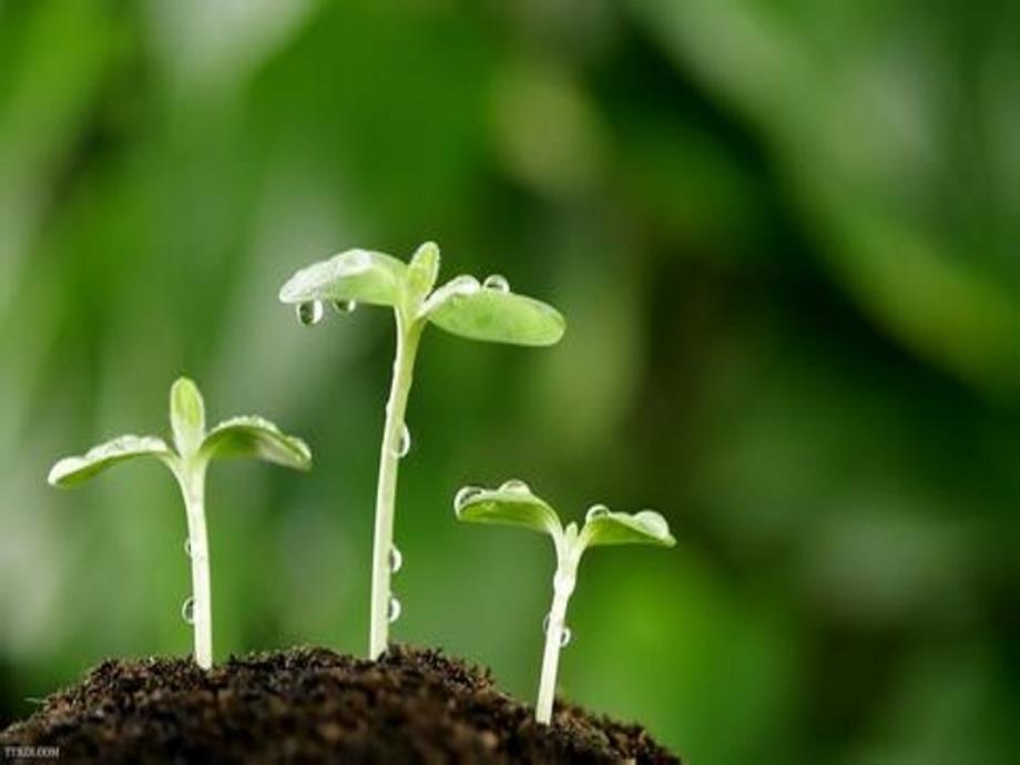 雨的颜色教学课件3_第3页