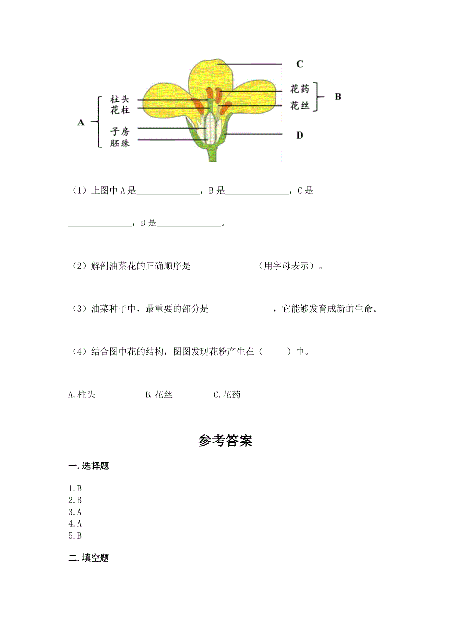 教科版科学四年级下册第1单元-植物的生长变化-测试卷带完整答案(全国通用).docx_第4页