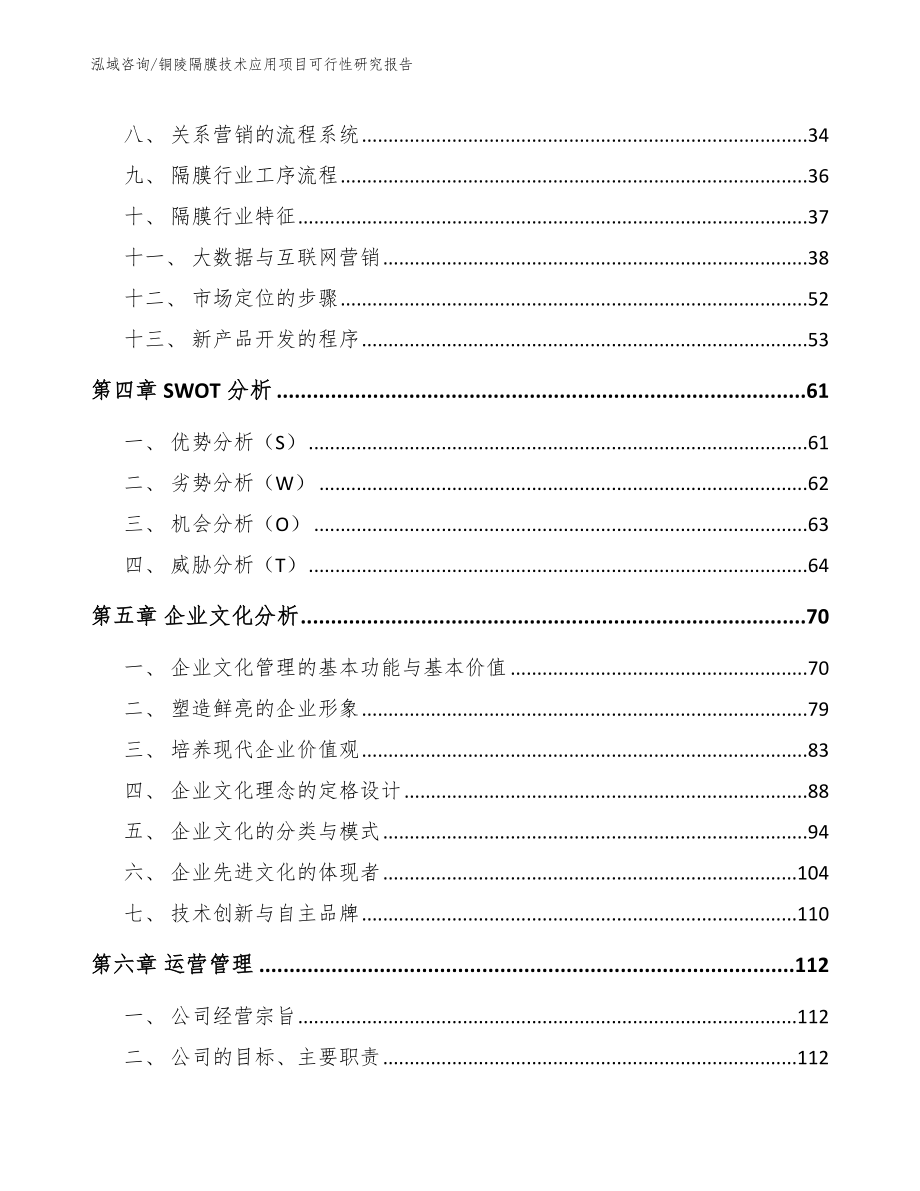 铜陵隔膜技术应用项目可行性研究报告【模板】_第2页