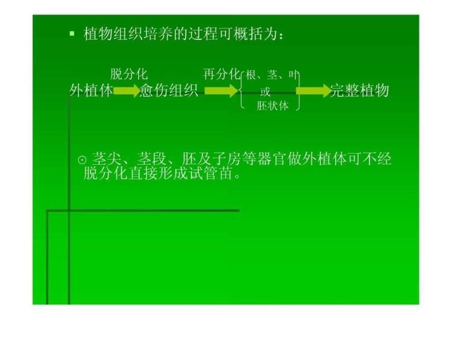 植物组织培养技术1518660470_第5页