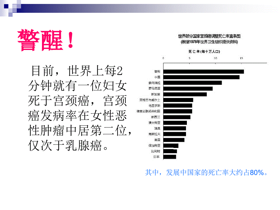 宫颈癌防治PPT_第2页