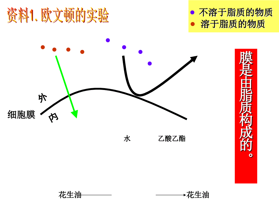 人教版教学课件人教版必修一分子与细胞第三章细胞的基本结构第2节生物膜的流动镶嵌模型精选文档_第1页