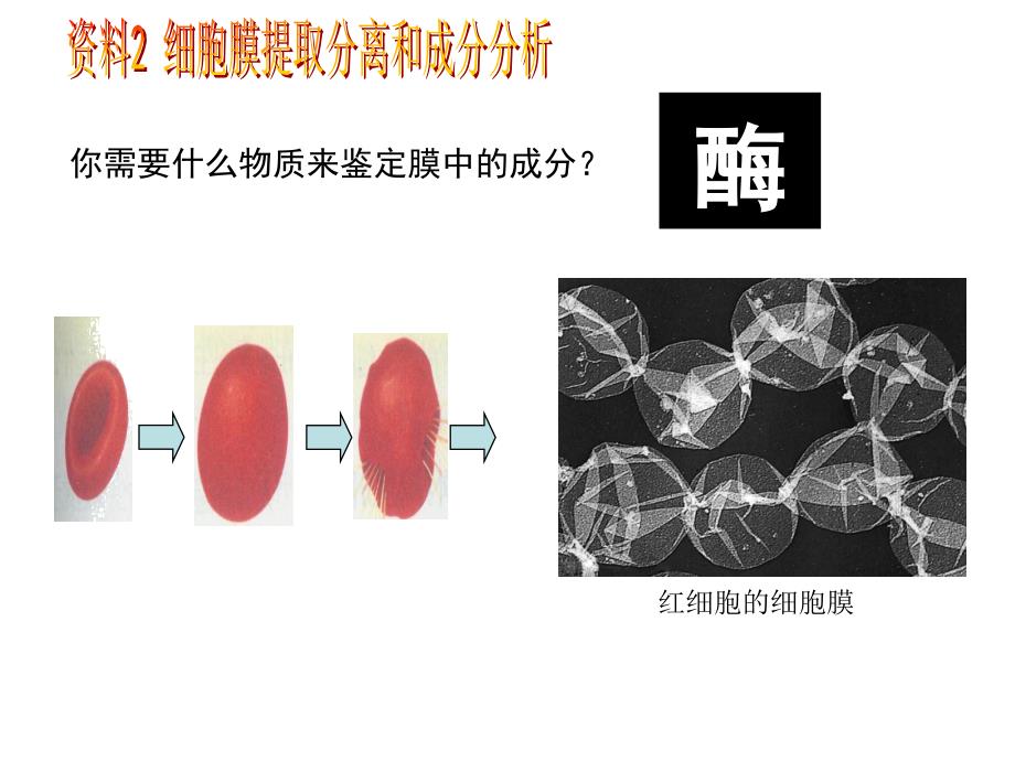 人教版教学课件人教版必修一分子与细胞第三章细胞的基本结构第2节生物膜的流动镶嵌模型精选文档_第2页