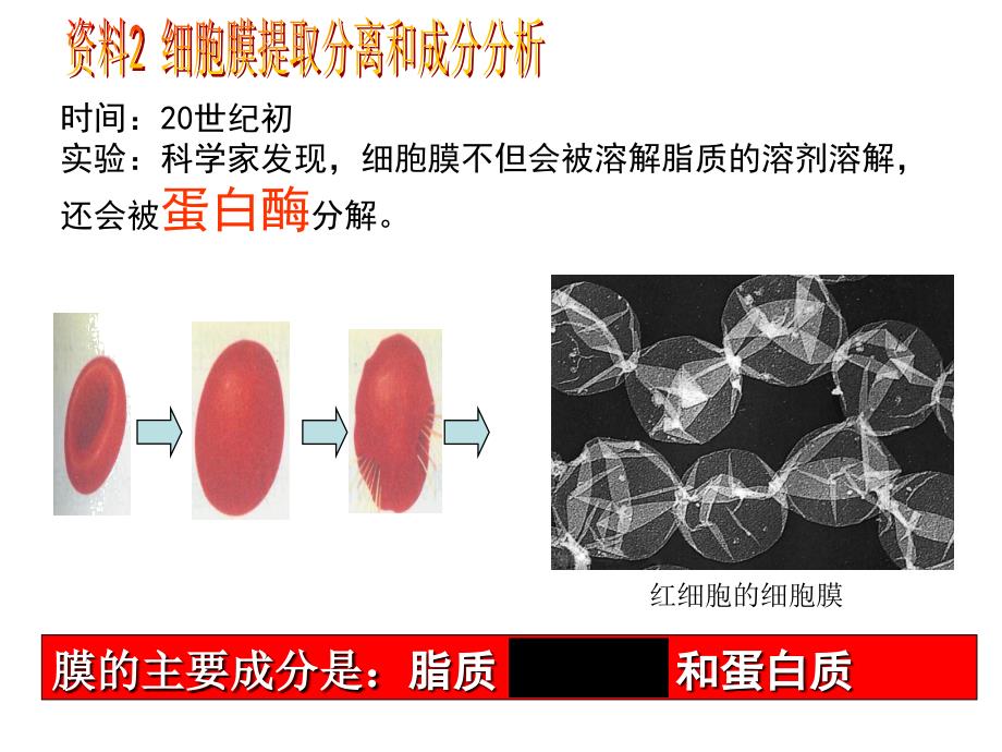 人教版教学课件人教版必修一分子与细胞第三章细胞的基本结构第2节生物膜的流动镶嵌模型精选文档_第3页