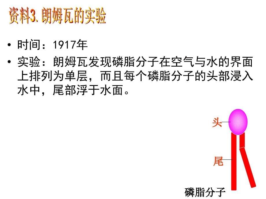 人教版教学课件人教版必修一分子与细胞第三章细胞的基本结构第2节生物膜的流动镶嵌模型精选文档_第5页