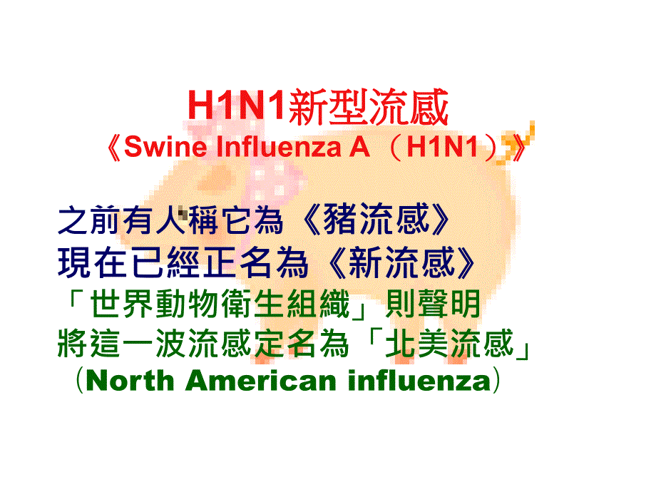 H1N1新型流感石牌国中_第2页