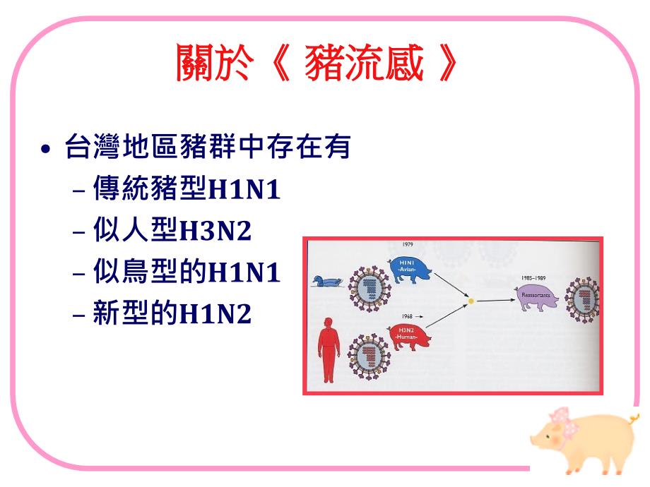 H1N1新型流感石牌国中_第3页