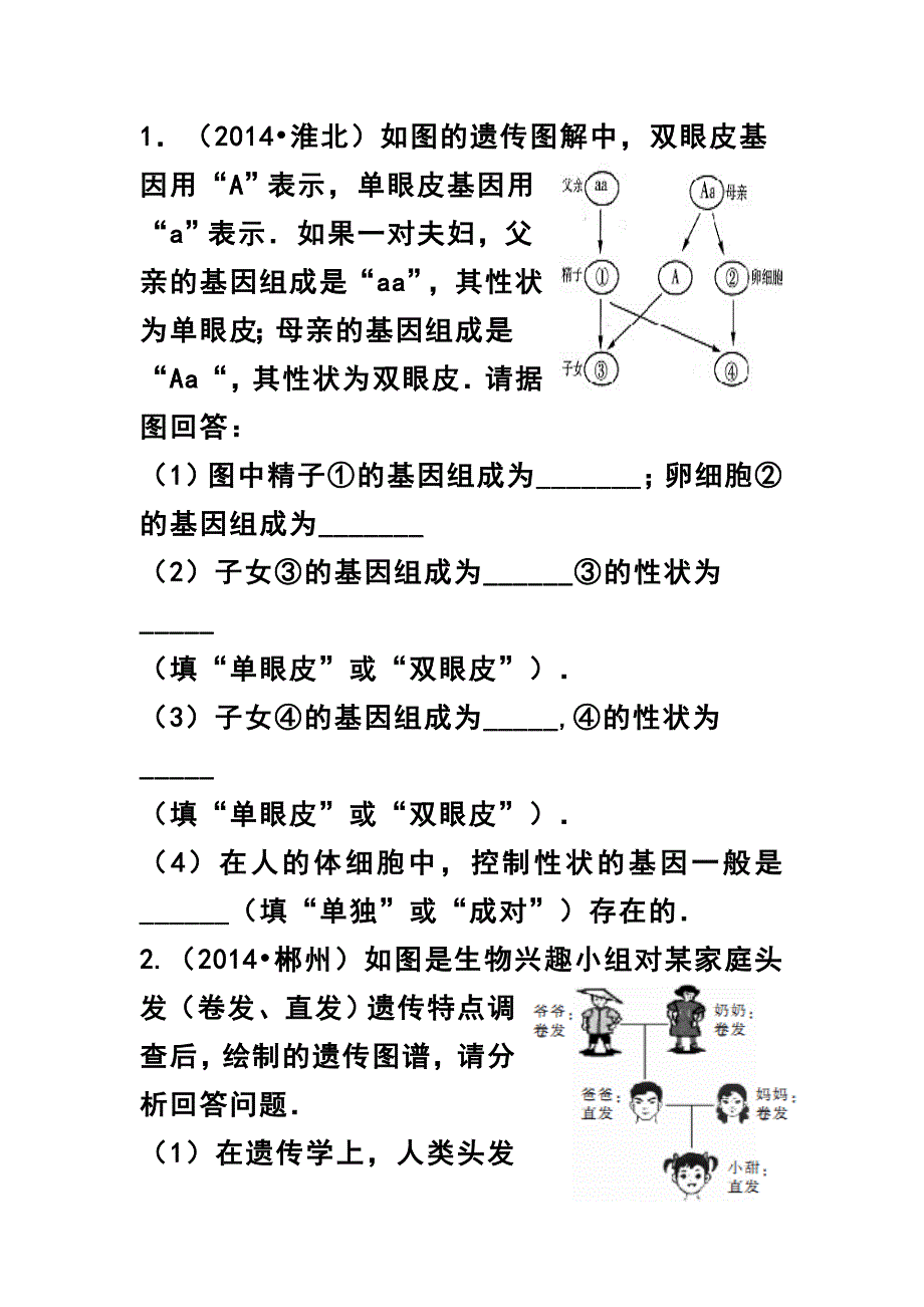 遗传图解复习题_第1页