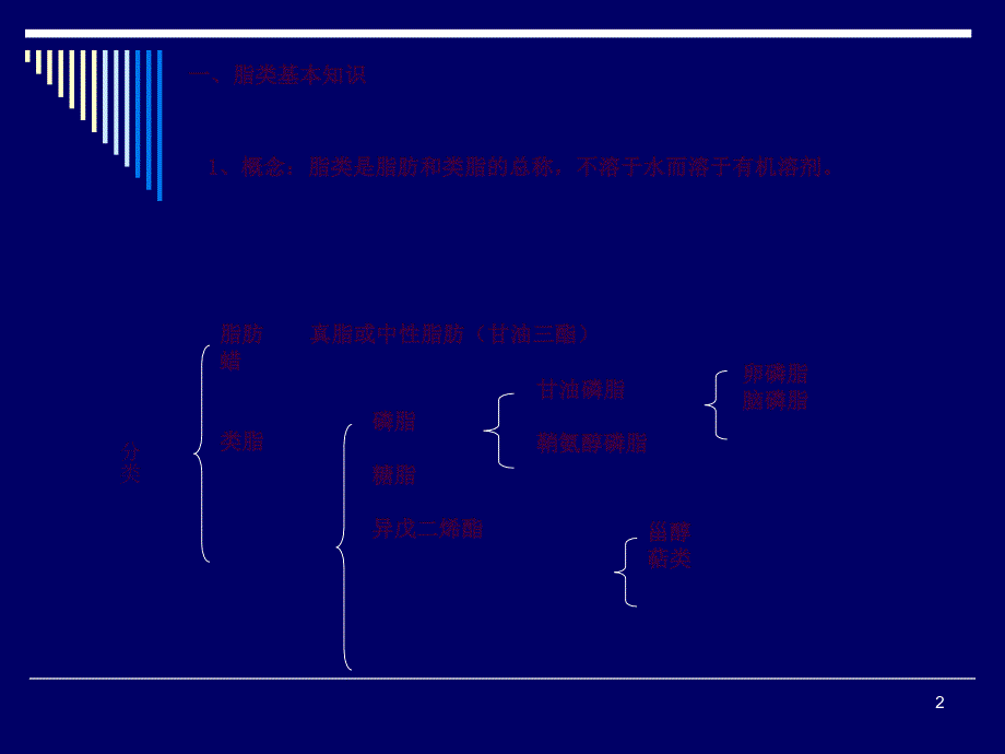 脂类代谢ppt课件_第2页