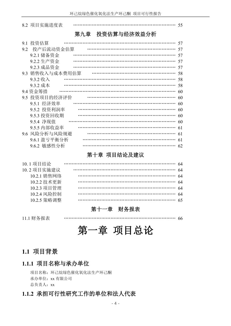 环己烷绿色催化氧化法生产环己酮项目可行性研究报告2_第4页