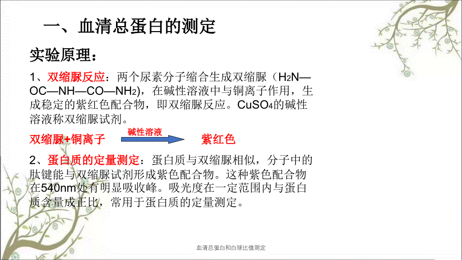 血清总蛋白和白球比值测定课件_第3页