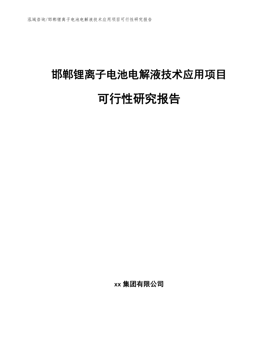 邯郸锂离子电池电解液技术应用项目可行性研究报告_范文参考_第1页