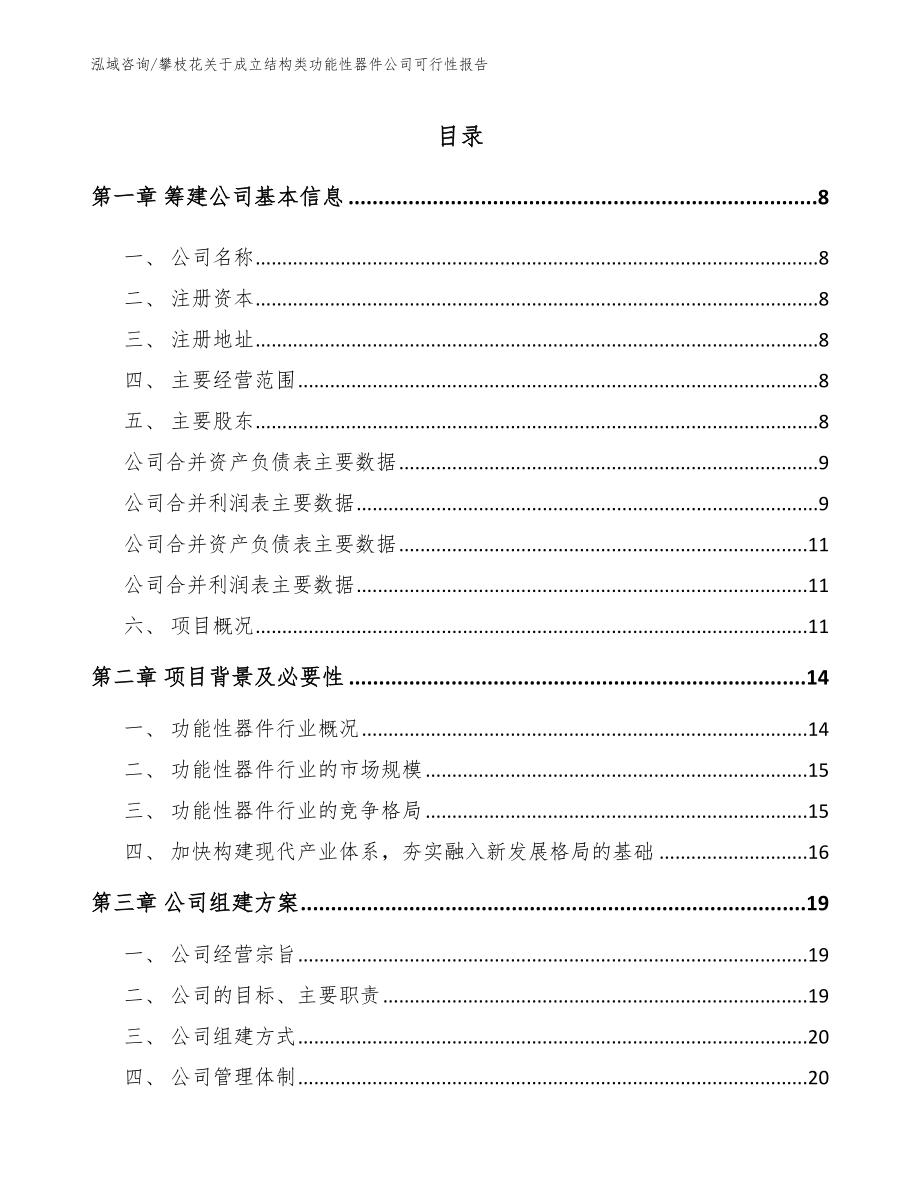 攀枝花关于成立结构类功能性器件公司可行性报告参考范文_第2页