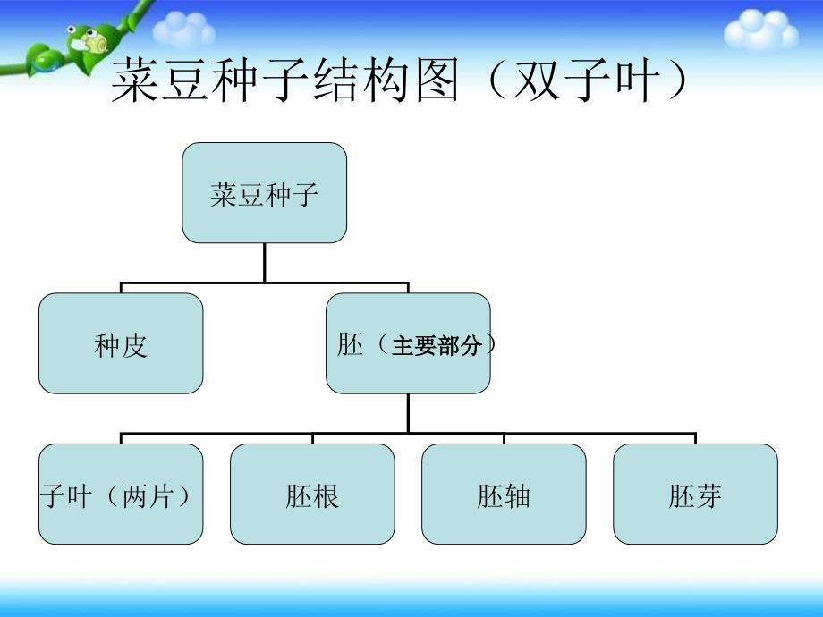 三年级下册科学科课件－植物的种子｜人教版 (共6张PPT)_第2页