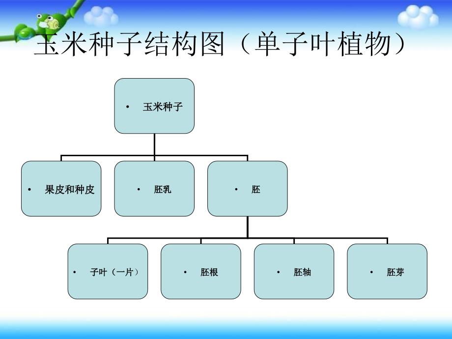 三年级下册科学科课件－植物的种子｜人教版 (共6张PPT)_第4页