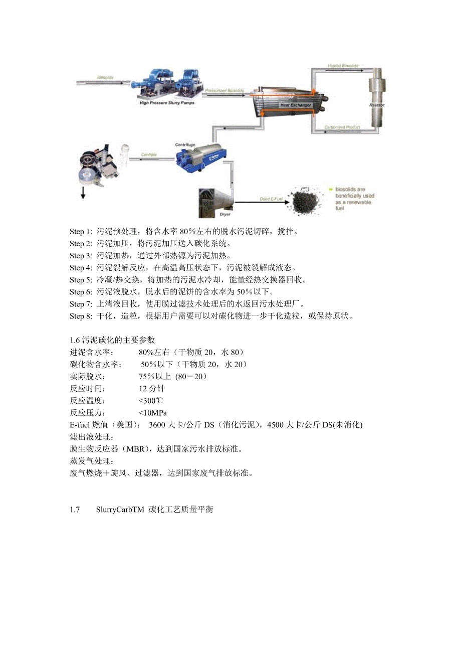 美国SlurryCardTM污泥碳化工艺.doc_第4页