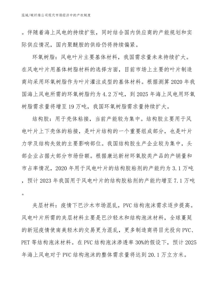 碳纤维公司现代市场经济中的产权制度_第5页