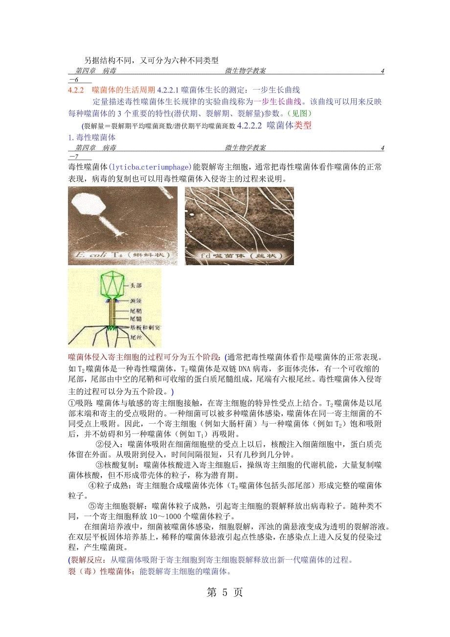 2023年沪科版高中生物《非细胞形态的生物——病毒》导学案.doc_第5页