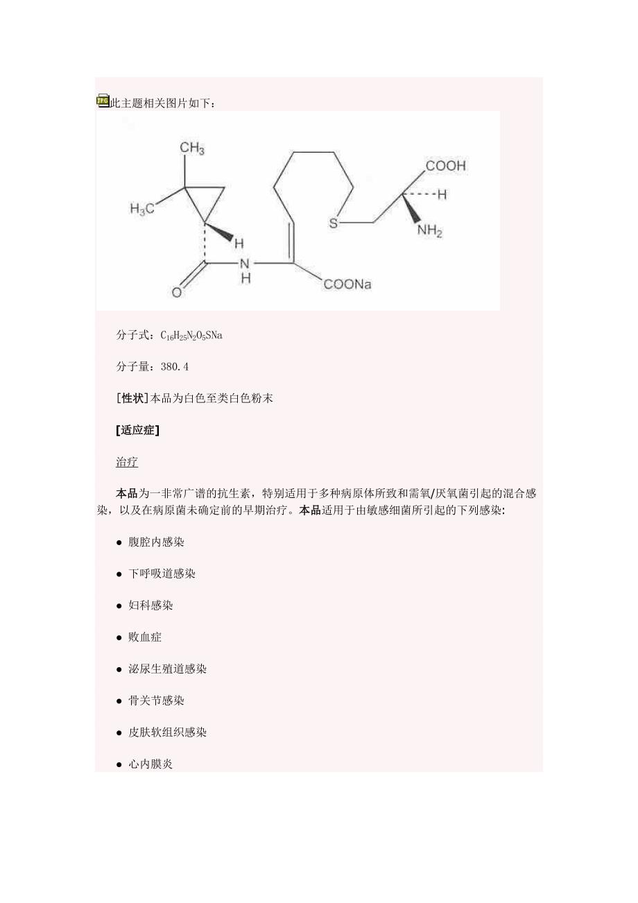 注射用亚胺培南西司他丁钠说明书.doc_第2页