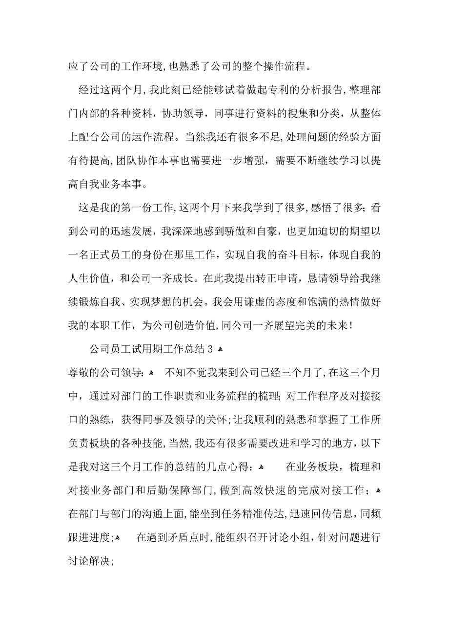 公司员工试用期工作总结_第4页