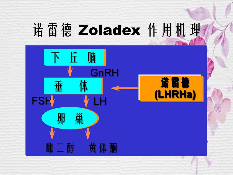 促性腺激素类似物与子宫内膜异位症肿瘤_第4页