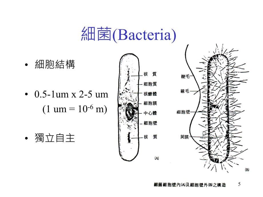 实验室生物性危害_第5页