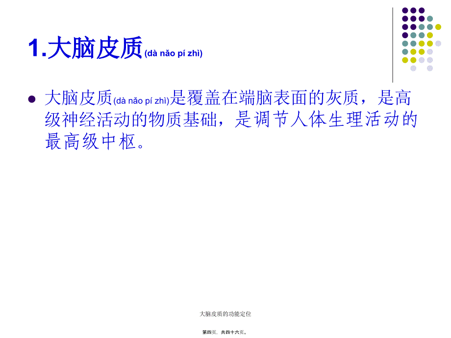 大脑皮质的功能定位课件_第4页